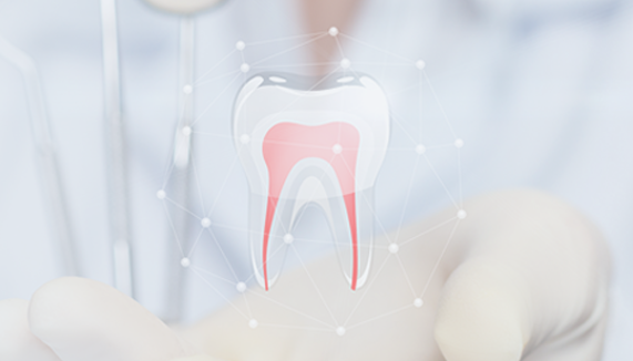 엄선된 정품 재료 사용
